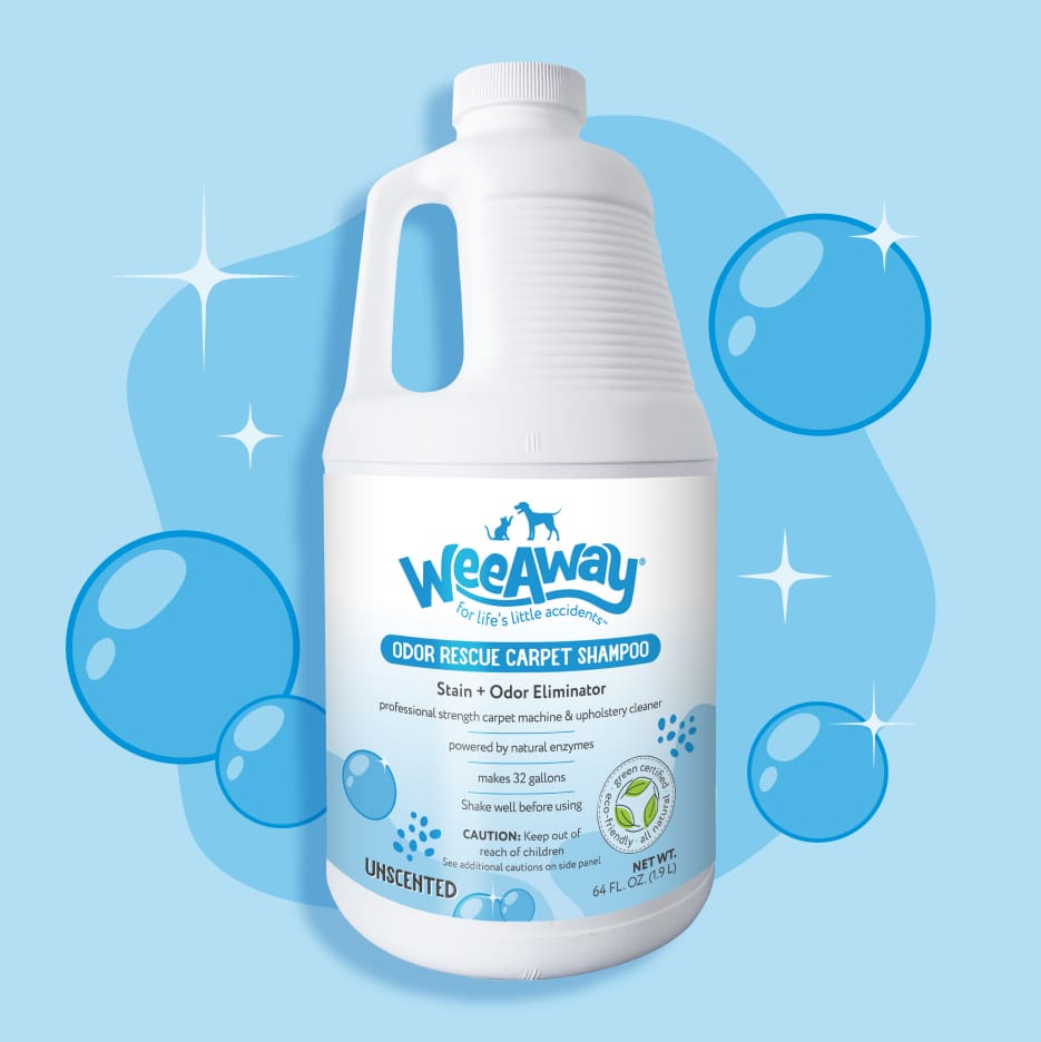 white plastic gallon jug of Wee Away Odor Rescue Carpet Shampoo with blue label on a light blue background with soap bubble floating nearby.
